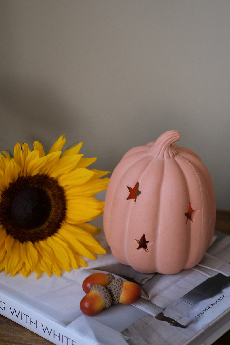 Terracotta Pumpkin Tealight Holder