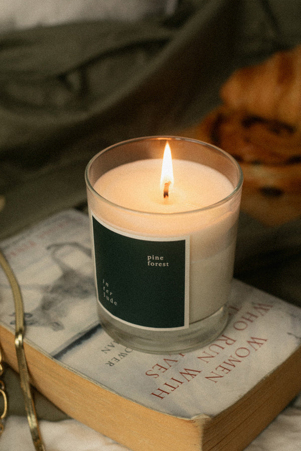 Pine Forest Scented Candle