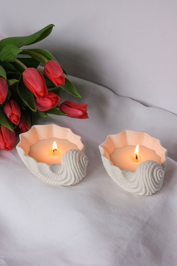 Seashell Shaped Candle - Scented